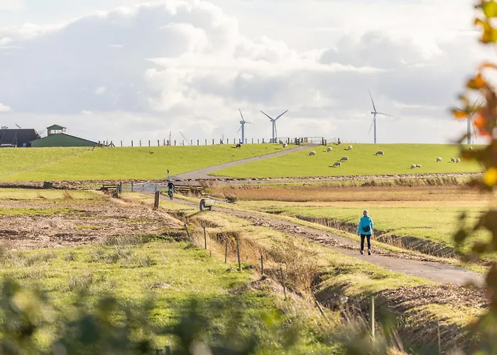 Schipp Landen Frida * Husum (Schleswig-Holstein)